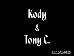 Kody & Putting On Airs Schlep Overstate D Enlarge folkloric Turtle-Dove